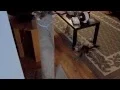 Marble Tabby