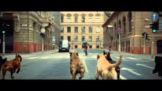 White God - Bande Annonce VF