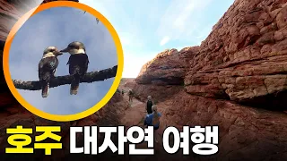 호주 여행 [걸어서 세계속으로 525회] KBS 240525 방송