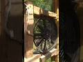 solar powered greenhouse fan