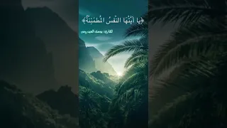 يا أيتها النفس المطمئنة      تلاوة القارئ يوسف العيدروس            دندنها