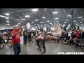 Cruella Morgan Suspension Meadowlands Tattoo Convention 2024 EPICJONTUAZON
