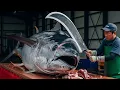 Download Lagu INSANE 990LB Bluefin Tuna Cutting – Every Slice is Perfection!
