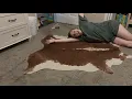 Why this RUG was the perfect addition