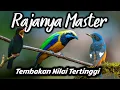 Download Lagu Dahsyat!!! MASTERAN BURUNG FIGHTER FULL TEMBAKAN PALING SADIS‼️