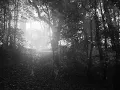 Darkthrone -To Walk the Infernal Fields