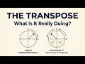 What Does Matrix Transpose Actually Do to Space