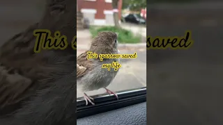 Https Www Tiktok Com T ZP8MduWjM Link To The Entire Video On TikTok 