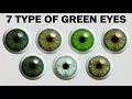 Every Green Eye Color Explained Their Advantages