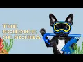 The Science of Scuba Diving