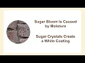 What is Chocolate Bloom