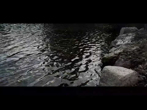 Fatherland - Official Trailer 2