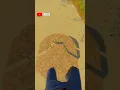 RUST 2X2 WIDEGAP SETUP