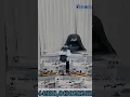 Download Lagu New Drone Camera 2025🔥Djw M4 Ultra Drone✅