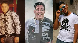 نور التوت حمو بيكا ميسو ميسره علقت حمل علي شجرة توزيع والحان فيجو الدخلاوي 2025 