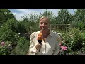 UKW - Sommersprossen - ZDF Fernsehgarten 09.06.2019
