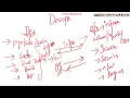 DevOps Class - Day 1