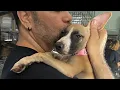 250 animals helped in just TWO DAYS And for no cost
