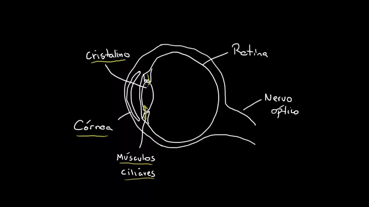 Dioptros, Aberrações e o Olho Humano