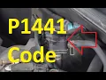 Download Lagu Causes and Fixes P1441 Code – Evaporative Emission (EVAP) System Malfunction Flow During Non-Purge