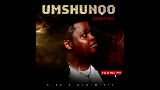 dladla mshunqisi owamabomu ft dj lag