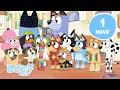 Download Lagu 🔴LIVE: Bluey and Bingo's Best Friends! 💙 | Friendship Moments and Games | Bluey