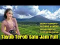 Download Lagu Tayub Terob satu jam full - konco leyeh leyeh konco makaryo