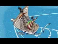 Download Lagu One Piece Opening 3 - \