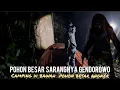 Download Lagu Makhluk besar hitam bertaring penghuni pohon besar ini