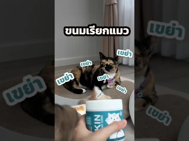 ขนมแมว สูตรบำรุงผิวหนังและขน