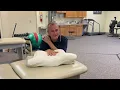 Cervical Pillow for Neck Pain Relief Zamat Pillow Reviewed by a Physical Therapist