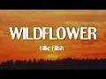 Download Lagu Billie Eilish - WILDFLOWER (Lyrics)