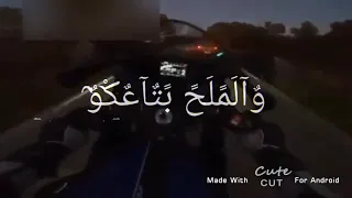 حالات واتس اب العيش والملح بتاعكو  حالات واتس اب العيش والملح بتاعكو