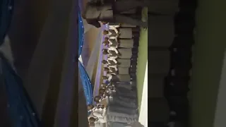 vusi and the mighty singers