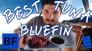 BLUEFIN TUNA on my Catalina 30 sailboat