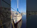 Wes Anderson vibes onboard Genevieve
