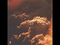 I Would Rather Stay