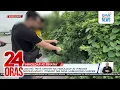 Download Lagu Labi ng TNVS driver na hinoldap at pinatay noong Mayo, itinuro ng mga sumukong suspek | 24 Oras