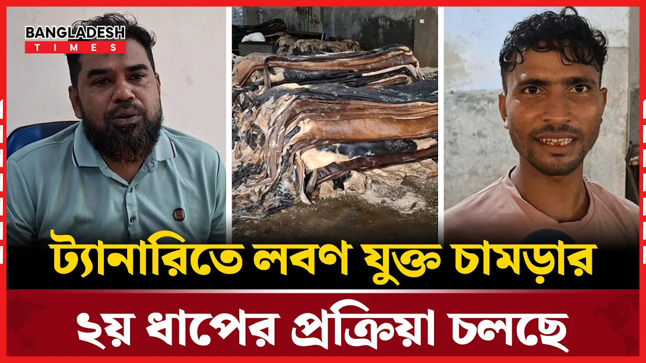 লবণ যুক্ত চামড়ার প্রক্রিয়া চলছে সাভারে