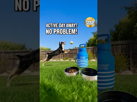 Paw Picks: Hooray House Water Bottle