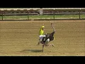 The 2025 Delaware Park Safari Sprint Ostrich Race