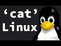 Cat Command Linux