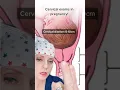 Download Lagu Cervical exams explained!