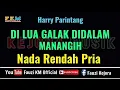 Download Lagu DI LUA GALAK DI DALAM MANANGIH - Harry Parintang [ Karaoke/Lirik ] Nada Rendah Pria