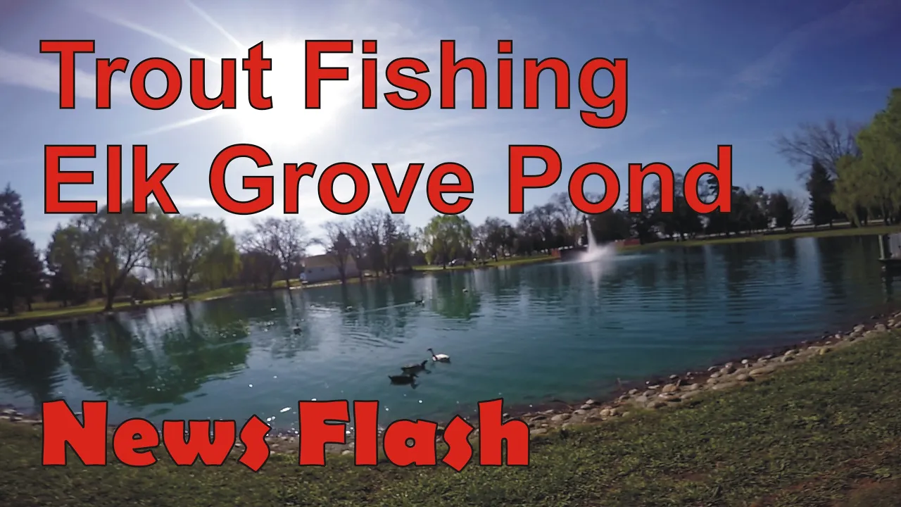 Elk Grove California - Town Hall Center - Top drone shots