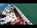 Not What I Expected - Multispecies Fishing Ft Pierce FL