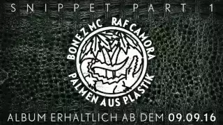 bonez mc u0026 raf camora palmen aus plastik snippet pt 1