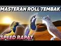 Download Lagu MASTERAN ROLL TRMBAK, SPEED RAPAT
