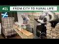 Download Lagu 21. Adding homely touches to our 1800s Scottish cottage Reno \u0026 the return of Ron the ferret. VLOG.