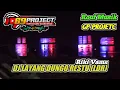 DJ LDR (LAYANG DUNGO RESTU) RIKI VAMS,69 PROJETC,ROUF MUSIK